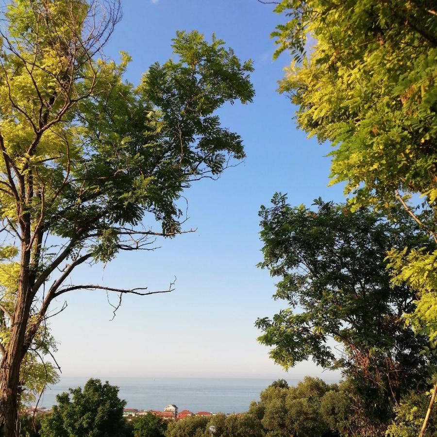 Il Magnolia Bed & Breakfast Francavilla Al Mare Eksteriør bilde